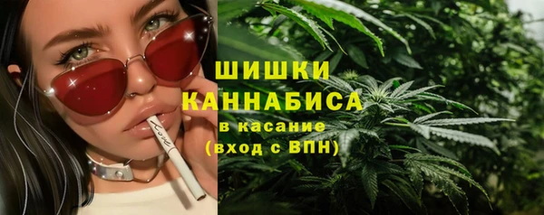 первитин Вяземский
