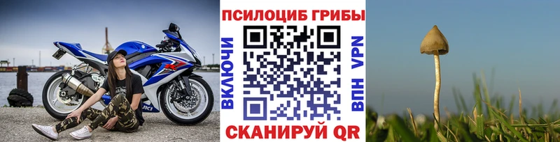 Галлюциногенные грибы Cubensis  площадка наркотические препараты  Железногорск 